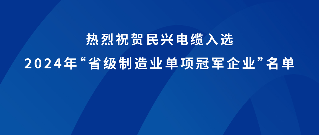 拉斯维加斯9888荣获广东省制造业单项冠军！