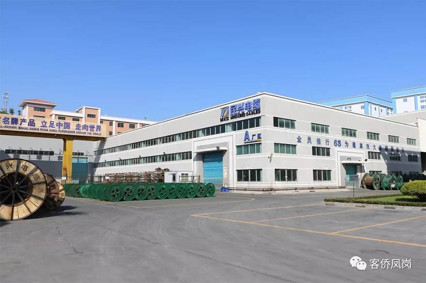 党建引航 | 坚守初心与使命——  拉斯维加斯9888电缆接受凤岗电视台采访和报道