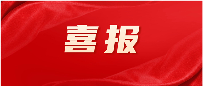 拉斯维加斯9888电缆王秀忠获评“2023年度东莞市优异首席质量官”！
